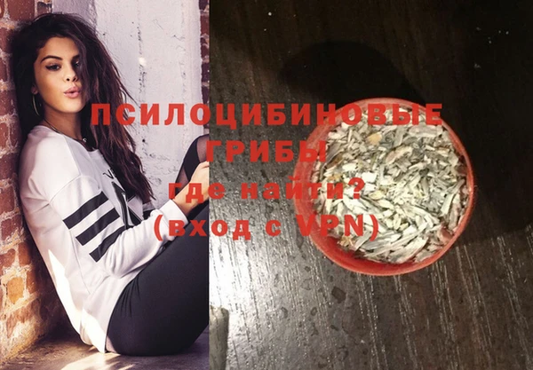 кокс Алексин