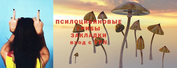 метадон Алексеевка