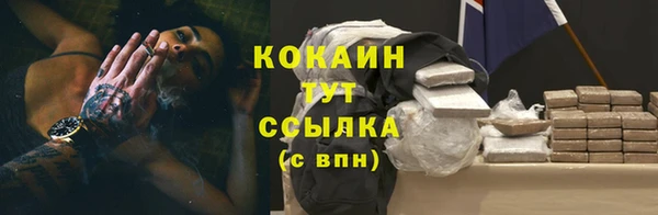 кокс Алексин