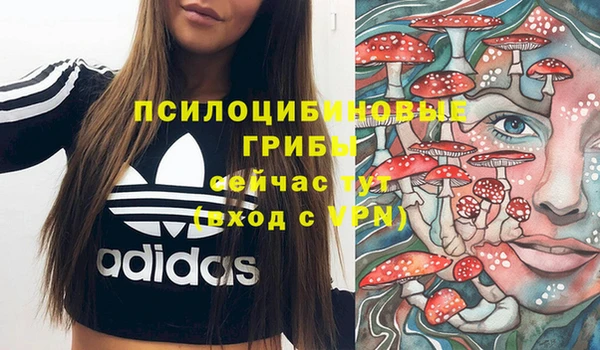 метадон Алексеевка