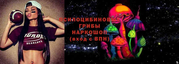 кокс Алексин