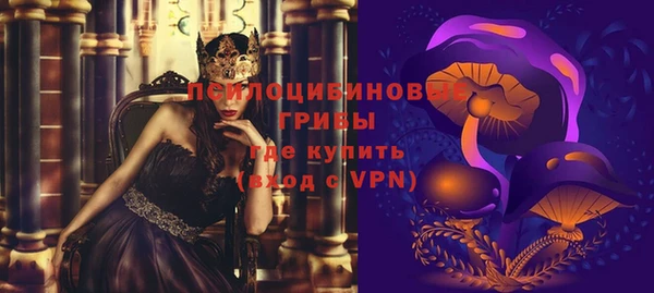 стаф Абаза